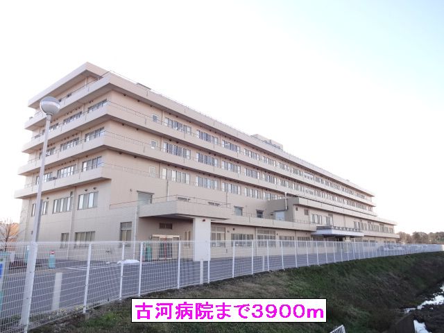 Hospital. 3900m to Furukawa hospital (hospital)