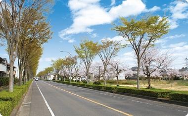 Sale already cityscape photo. Cherry blossoms in spring is very beautiful