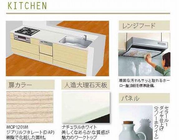Same specifications photo (kitchen). B Building Specifications (built-in dishwasher dryer With water purifier shower faucet construction)