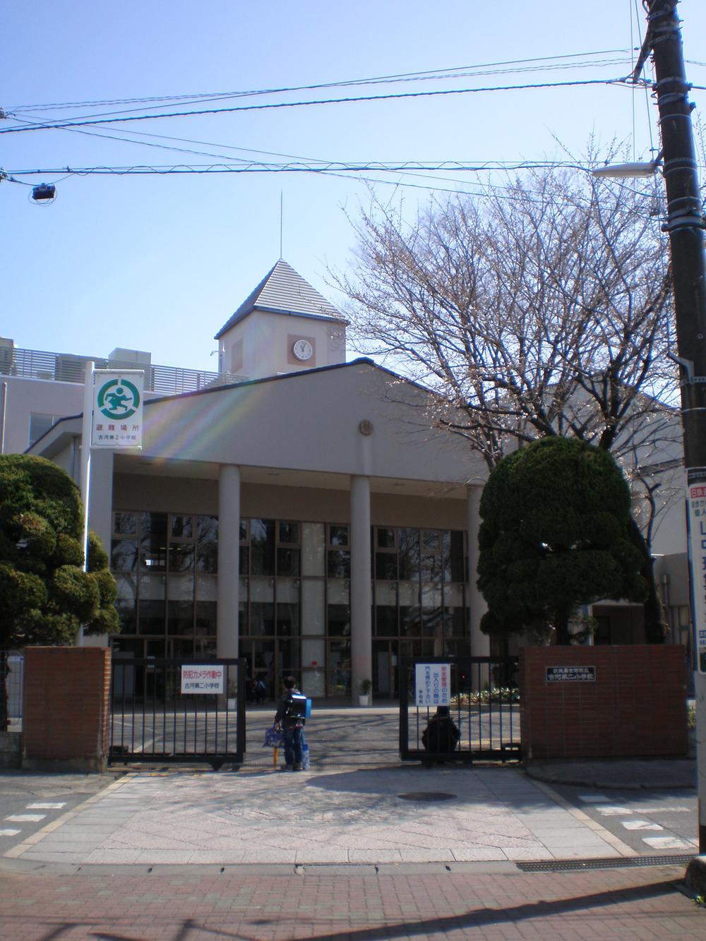 Primary school. 466m until Koga Municipal Furukawa second elementary school