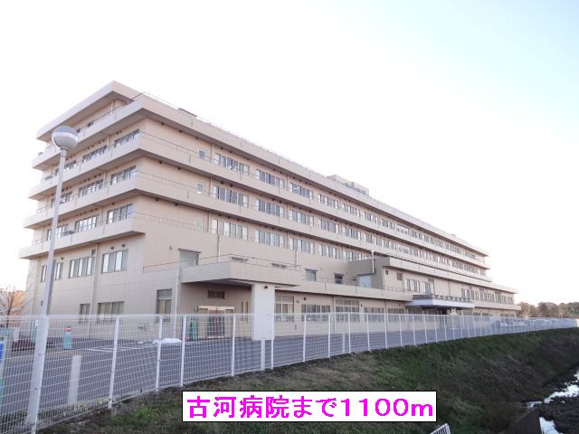 Hospital. 1100m to Furukawa hospital (hospital)