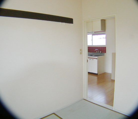 Living and room. DK district from Western-style (6).