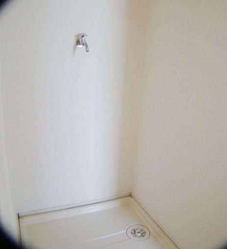 Other. Laundry Area. (Located in the bathroom entrance right. )