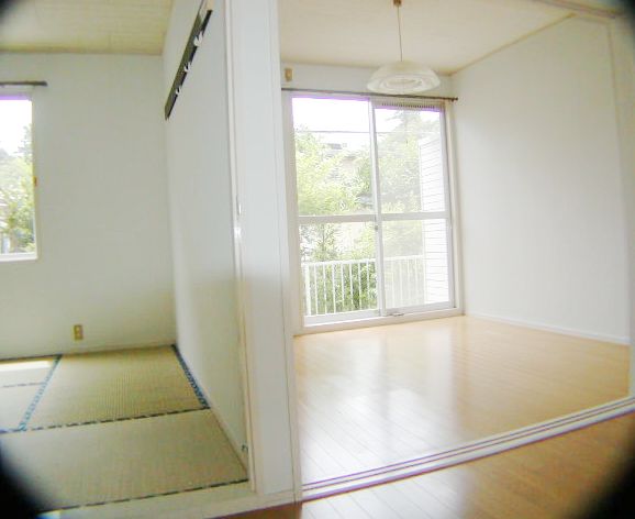Living and room. Right Western-style, Left Japanese-style room. 