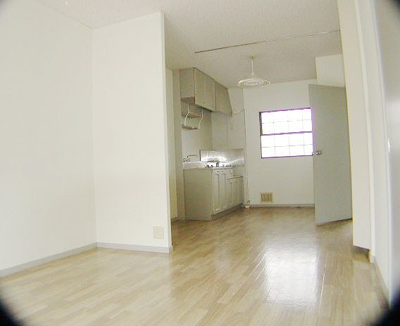 Other room space. There is a kitchen in the living room back.
