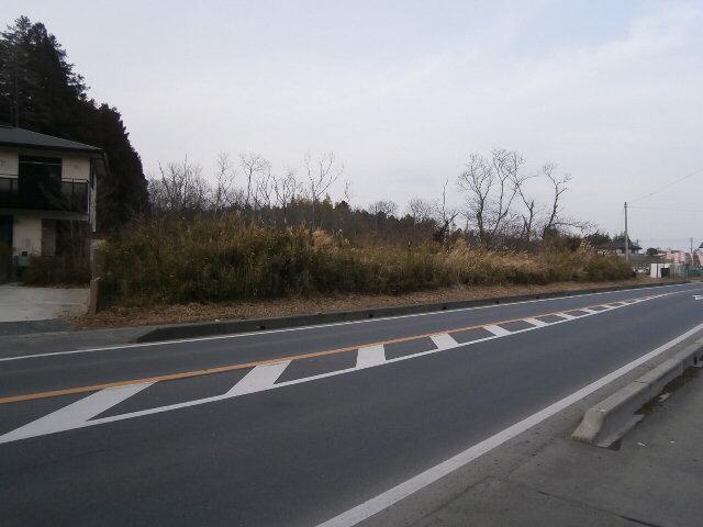 Local land photo