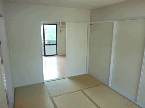 Other room space. Next to the Western-style