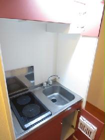 Kitchen. Electric stove with kitchen