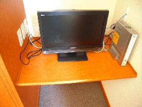 Other. With a flat-screen TV