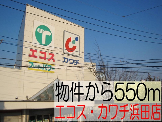 Supermarket. Ecos ・ Kawachii Hamada store up to (super) 550m