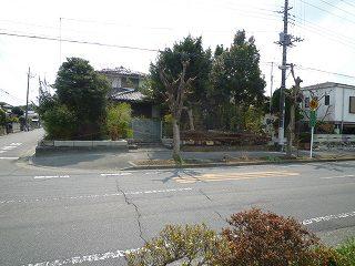 Local photos, including front road