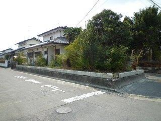 Local photos, including front road