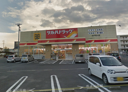 Tsuruha drag Mito Shiomigawa shop 582m until (drugstore)