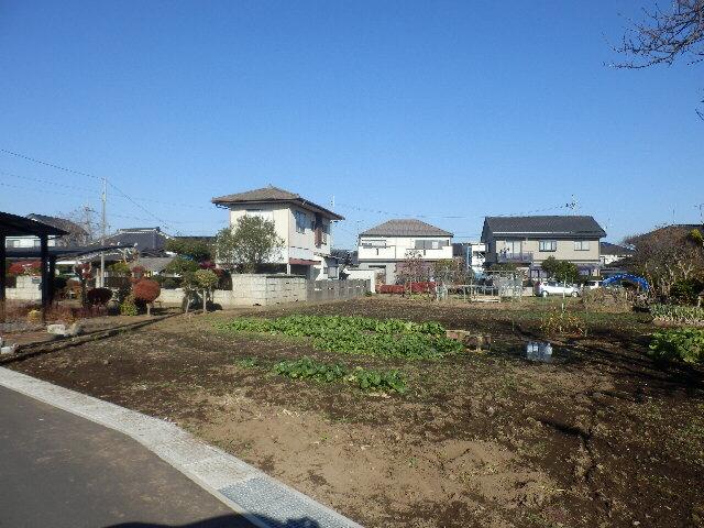 Local land photo