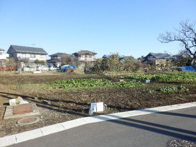 Local land photo