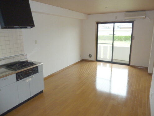 Living and room. Spacious LDK