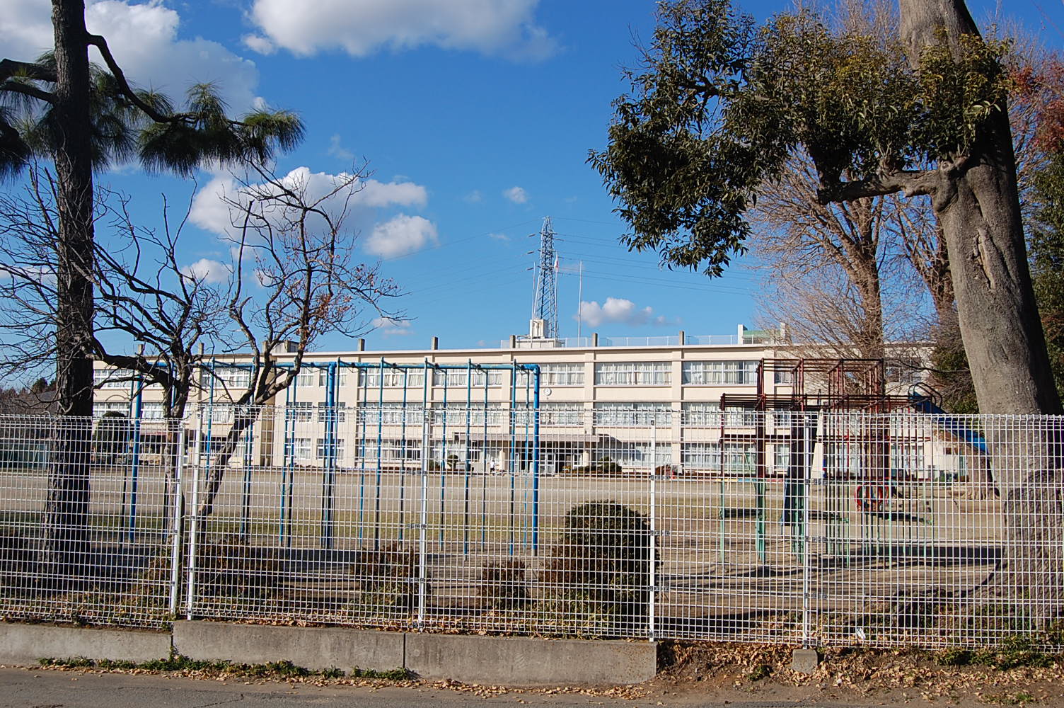 Primary school. 1033m to Mito Municipal Sakado elementary school (elementary school)