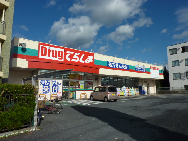 Dorakkusutoa. Drag Terashima Niihara shop 665m until (drugstore)