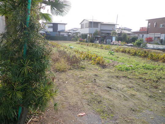 Local land photo