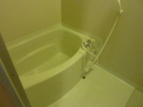 Bath. Spacious bathtub