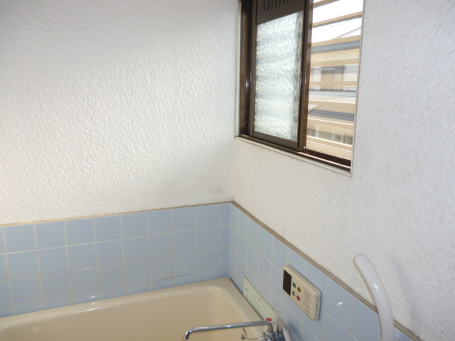 Bath. It comes with a window in the bathroom