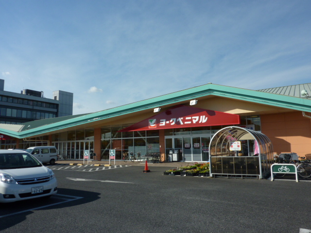 Supermarket. York-Benimaru Kadoya Niihara store up to (super) 1053m