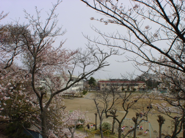 Primary school. 1682m to Mito Municipal Yoshida Elementary School (elementary school)