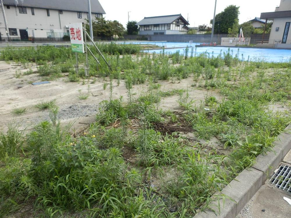 Local land photo