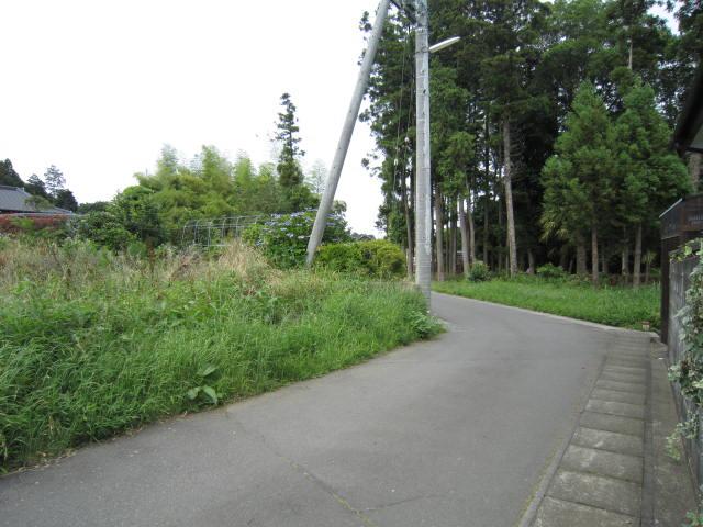 Local land photo