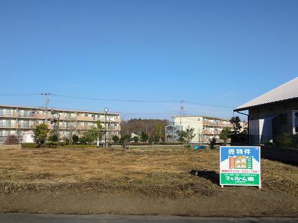 Local land photo