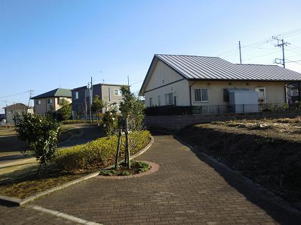 Local photos, including front road