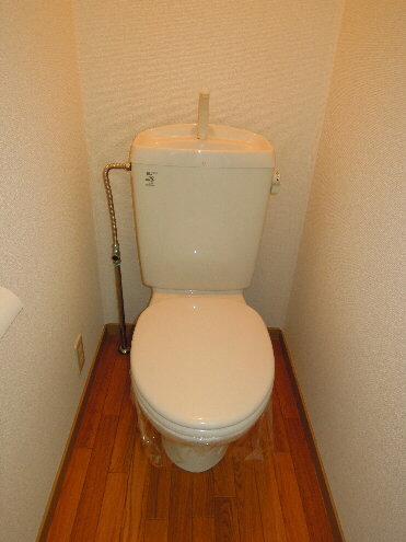 Toilet. It settles down space! 