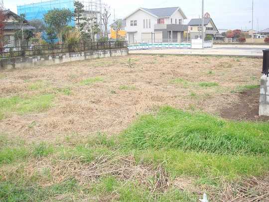 Local land photo