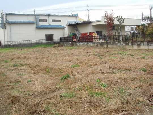 Local land photo