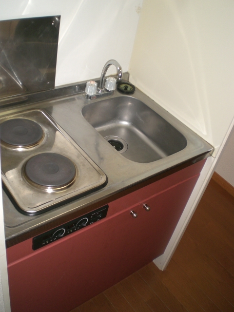 Kitchen. Electric stove with kitchen