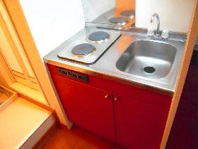 Kitchen. Electric stove with kitchen