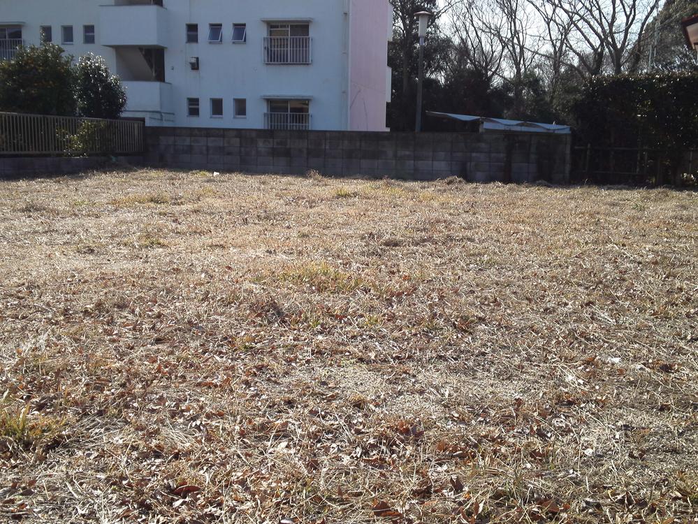 Local land photo. Local (February 2012) Shooting