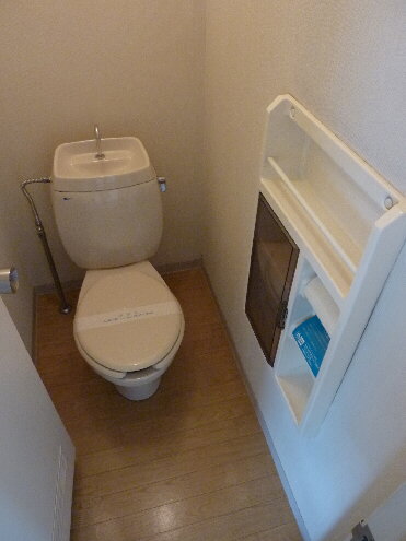 Toilet. With Amenities space!