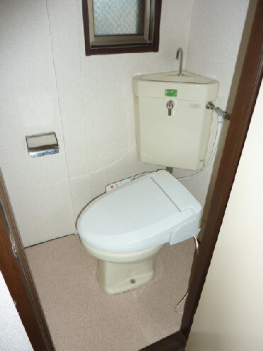 Toilet. With warm water washing toilet seat! 