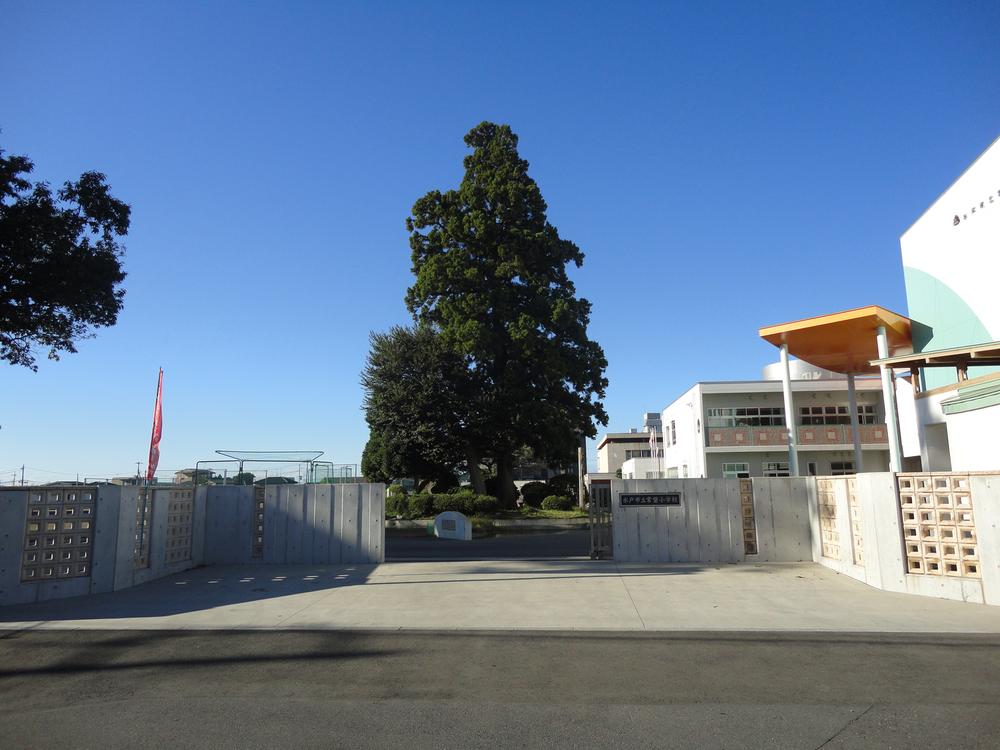 Primary school. Tokiwa until elementary school 960m