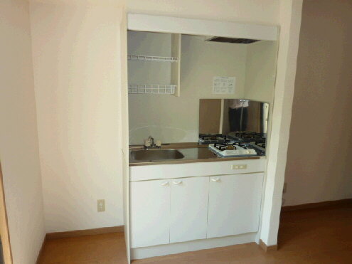 Kitchen. Affordable mini kitchen