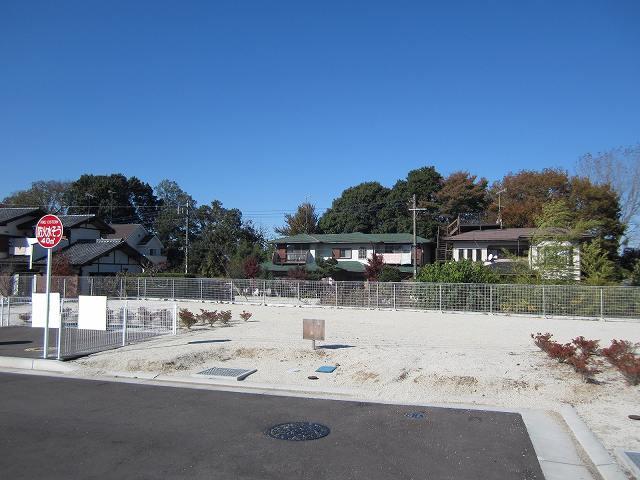 Local land photo. Compartment 6