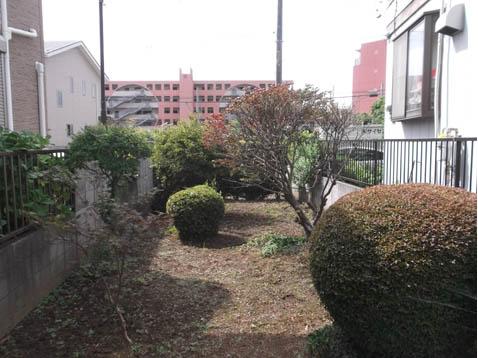 Local land photo