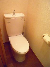 Toilet. Toilet and bathroom separate type