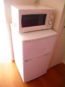 Other. refrigerator, Microwave