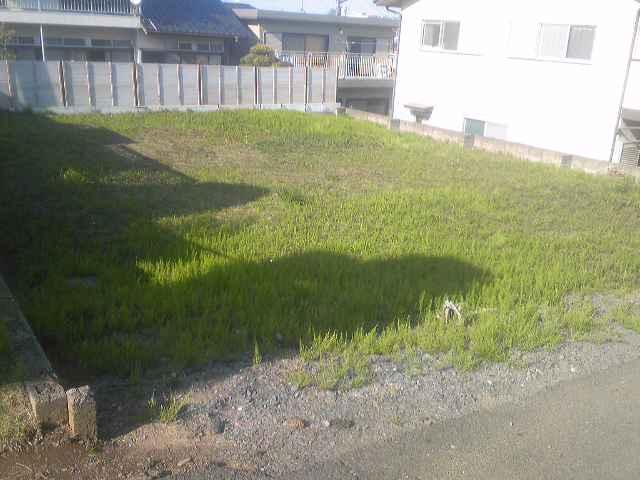Local land photo