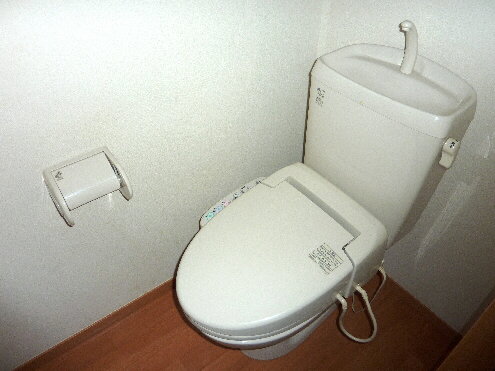 Toilet. Bidet with toilet