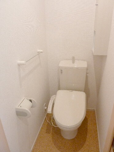 Toilet. With a convenient shelf in the toilet!