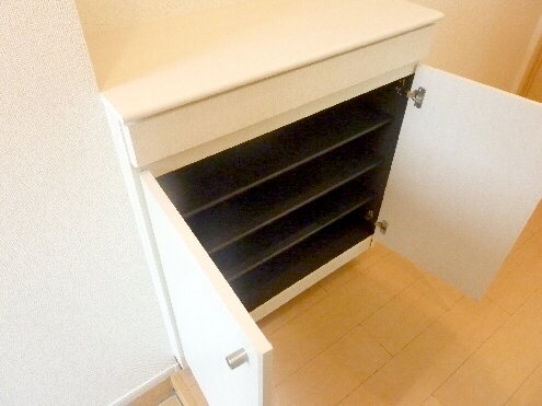 Entrance. Shoe box equipped!