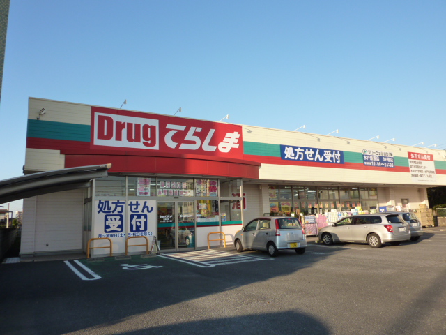 Dorakkusutoa. Drag Terashima Mito Niihara shop 1597m until (drugstore)